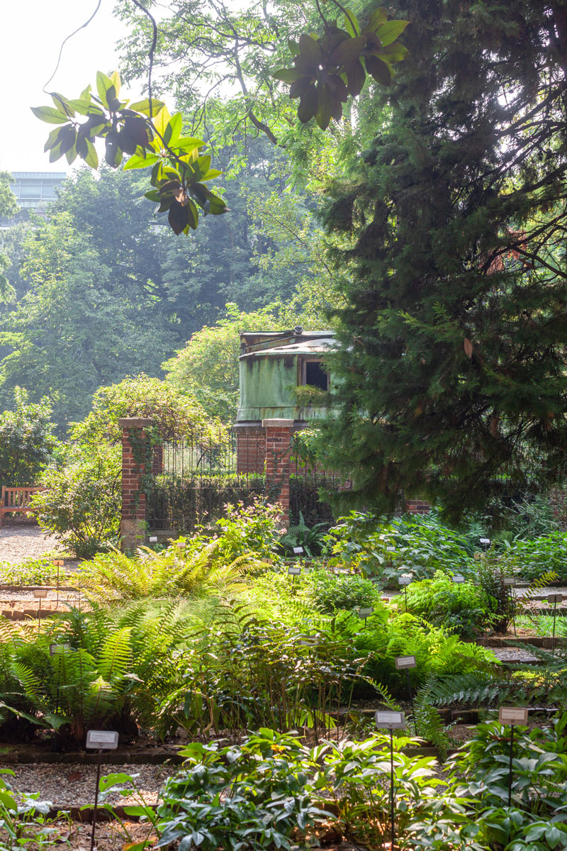 Un giardino vivo e sostenibile Simone Palmieri Gardens and Landscapes